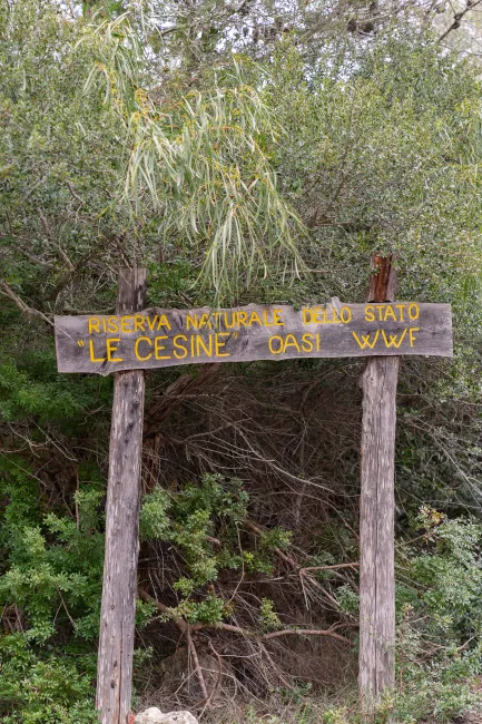 Parco Naturale Le Cesine